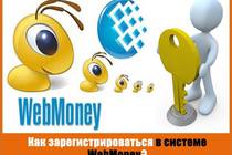 Гайд по WebMoney и онлайн продажам!